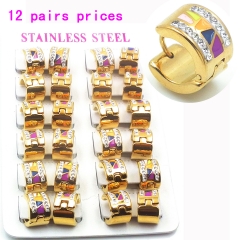 Stainless steel jewelry earrings