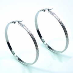Stainless steel jewelry earrings