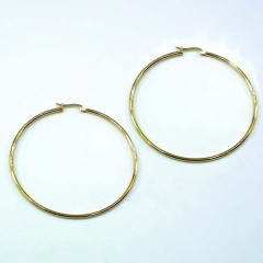 Stainless steel jewelry earrings