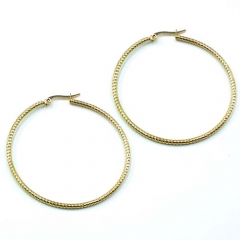 Stainless steel jewelry earrings