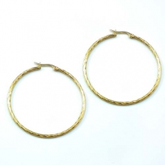 Stainless steel jewelry earrings