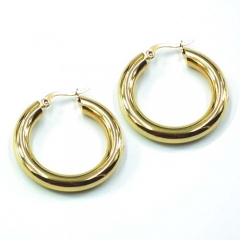 Stainless steel jewelry earrings