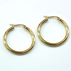 Stainless steel jewelry earrings