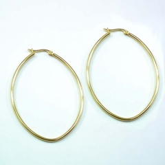 Stainless steel jewelry earrings