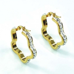 Stainless steel jewelry earrings