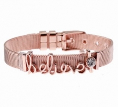 Stainless steel mesh bracelet + Alloy accessories Keeper woman bracelet
