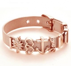 Stainless steel mesh bracelet + Alloy accessories Keeper woman bracelet
