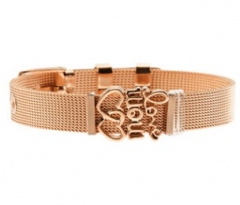 Stainless steel mesh bracelet + Alloy accessories Keeper woman bracelet