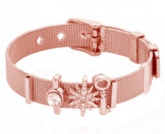 Stainless steel mesh bracelet + Alloy accessories Keeper woman bracelet