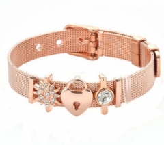 Stainless steel mesh bracelet + Alloy accessories Keeper woman bracelet