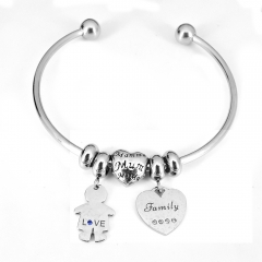 Stainless steel jewelry Pandor a Charms Bracelet wholesale