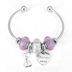 Stainless steel jewelry Pandor a Charms Bracelet wholesale