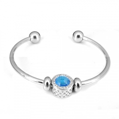 Stainless steel jewelry Pandor a Charms Bracelet wholesale