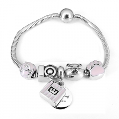 Stainless steel jewelry Pandor a Charms Bracelet wholesale