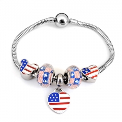 Stainless steel jewelry Pandor a Charms Bracelet wholesale