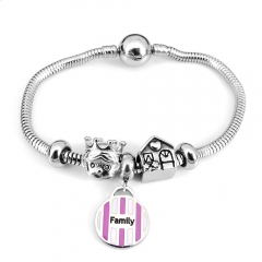 Stainless steel jewelry Pandor a Charms Bracelet wholesale