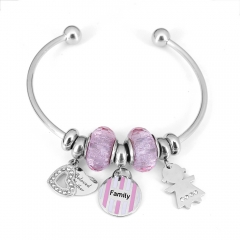 Stainless steel jewelry Pandor a Charms Bracelet wholesale