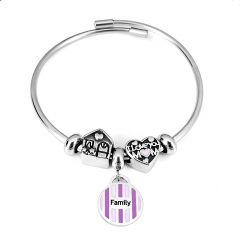 Stainless steel jewelry Pandor a Charms Bracelet wholesale