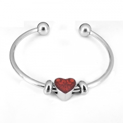 Stainless steel jewelry Pandor a Charms Bracelet wholesale