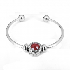 Stainless steel jewelry Pandor a Charms Bracelet wholesale