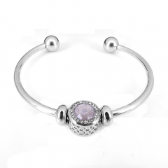 Stainless steel jewelry Pandor a Charms Bracelet wholesale