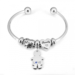 Stainless steel jewelry Pandor a Charms Bracelet wholesale