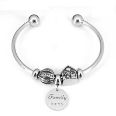 Stainless steel jewelry Pandor a Charms Bracelet wholesale