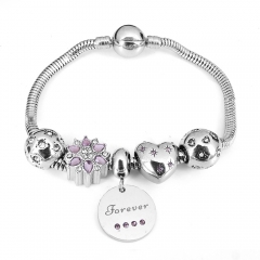 Stainless steel jewelry Pandor a Charms Bracelet wholesale