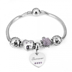 Stainless steel jewelry Pandor a Charms Bracelet wholesale