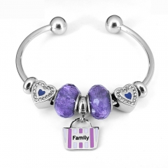 Stainless steel jewelry Pandor a Charms Bracelet wholesale