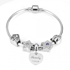 Stainless steel jewelry Pandor a Charms Bracelet wholesale