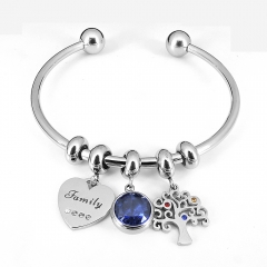 Stainless steel jewelry Pandor a Charms Bracelet wholesale