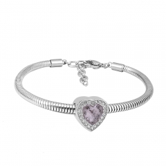 Stainless steel jewelry Pandor a Charms Bracelet wholesale