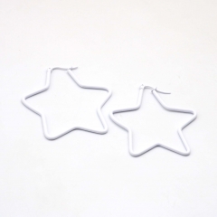 Stainless steel jewelry for women, Hoop earrings wholesale