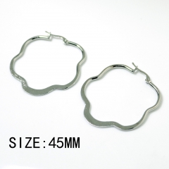Stainless steel jewelry for women hoop earrings wholesale