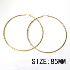 Stainless steel jewelry for women hoop earrings wholesale
