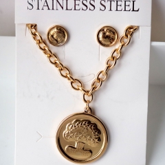 Stainless steel jewelry Earrings necklaces  set Wholesale