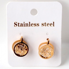 Stainless steel jewelry for women earrings wholesale