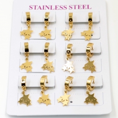 Stainless steel jewelry for women earrings wholesale