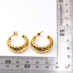 Stainless steel jewelry Earring wholesale