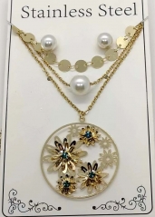Stainless steel jewelry Necklace Eerrings  set Wholesale