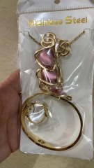 Stainless steel jewelry Necklace Earrings Ring bracelet set Wholesale