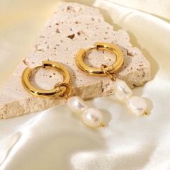 Stainless steel jewelry Earring wholesale