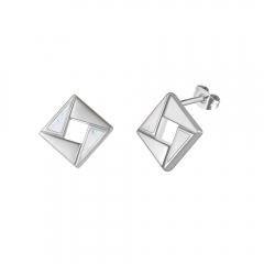 Stainless steel jewelry Earring wholesale