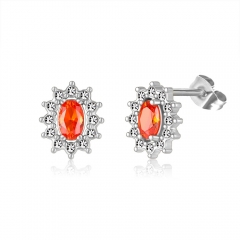 Stainless steel jewelry Earring wholesale
