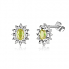 Stainless steel jewelry Earring wholesale