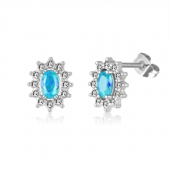 Stainless steel jewelry Earring wholesale