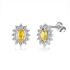 Stainless steel jewelry Earring wholesale