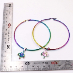 Stainless steel jewelry Earring wholesale