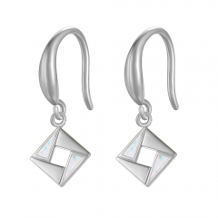 Stainless steel jewelry Earring wholesale